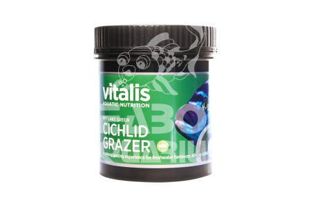 Vitalis Rift Lake Green Cichlid Grazer