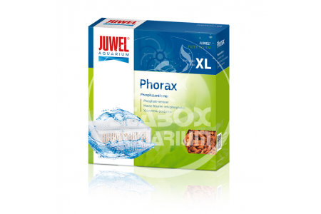 Phorax