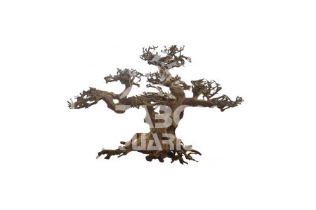 ADA Bonsai Wood S