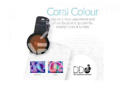 D-D Coral Color Lens V2